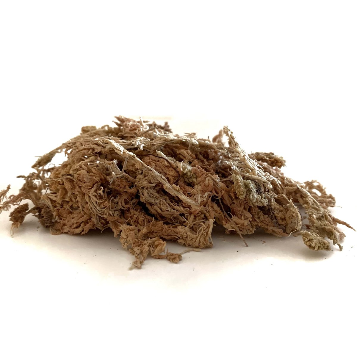 Musgo Sphagnum Moss 100 Gramos Sanitizado