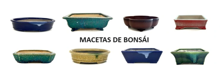 Macetas de bonsái