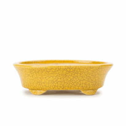 Maceta Koyo amarilla