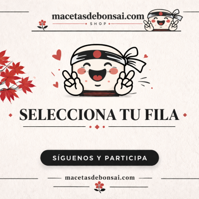 Sorteo bonsais